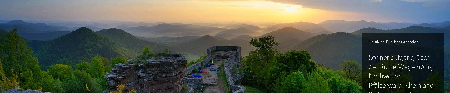 Bing-Startseite vom 24.08.2015 (c) Bing